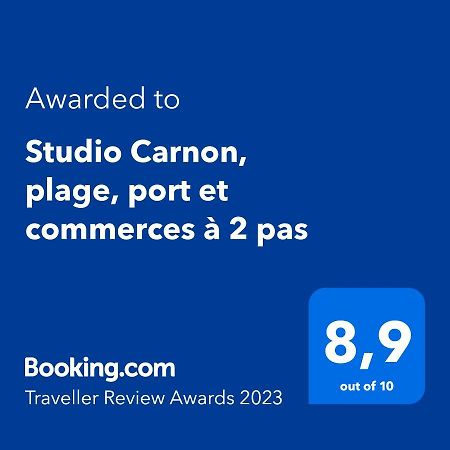 Studio Carnon, Plage, Port Et Commerces A 2 Pas Kültér fotó